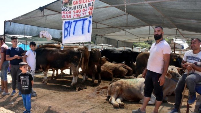 Kurban pazarlarında son gün yoğunluğu