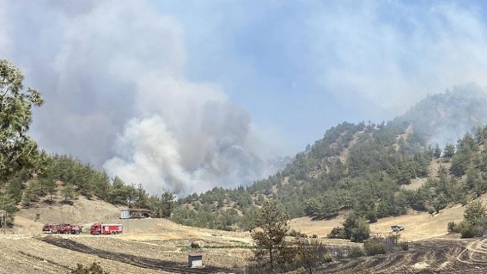 Kahramanmaraş'ta çıkan orman yangınına havadan ve karadan müdahale ediliyor