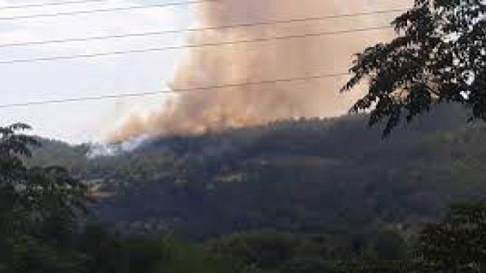 Osmaniye'de orman yangını