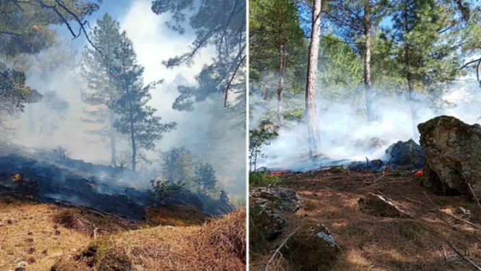 Kozan'da orman yangını