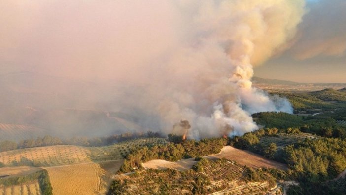 Osmaniye'deki orman yangınıyla ilgili 5 şüpheli gözaltına alındı