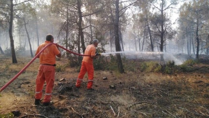 Kilis'te orman yangınına müdahale ediliyor