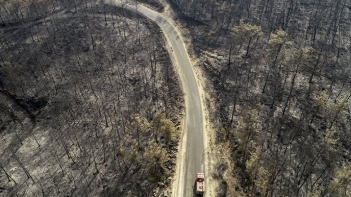 Cumhurbaşkanı Erdoğan: Orman yangınlarından etkilenen alanlar 'Genel Hayata Etkili Afet Bölgesi' ilan edildi