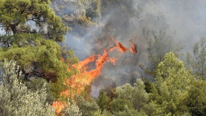 İYİ Parti'den yangınlarla ilgili kanun teklifi
