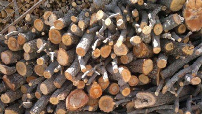 Kışlık yakacak ilanı verildi