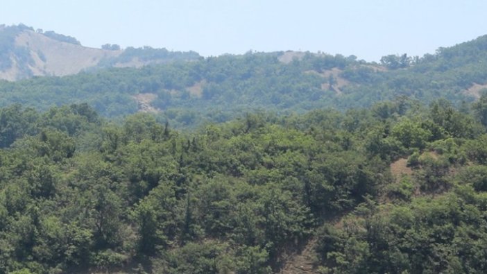 Bingöl'de ormanlık alanlara giriş yasaklandı