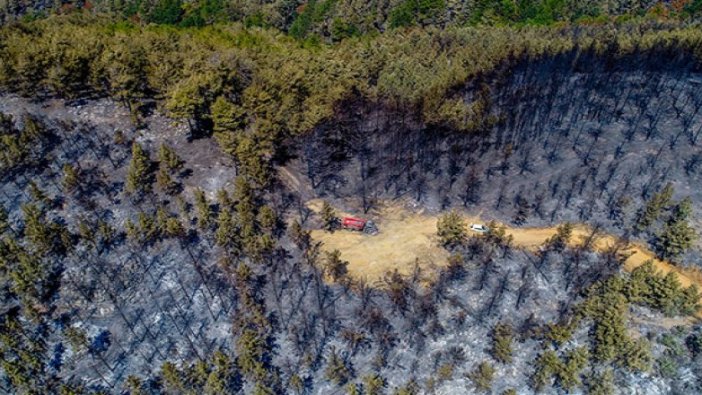 2 ildeki yangınlar kontrol altına alındı