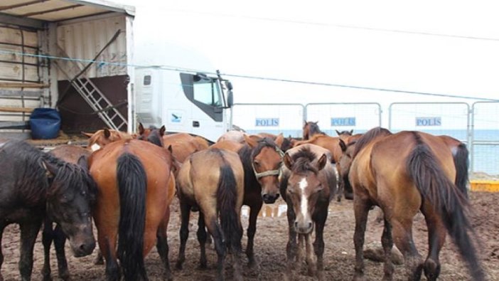 TIR parkında ölüme terk edildiler
