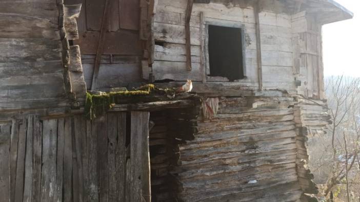 Üç engelli çocuğu ile harabede yaşayan aileye İYİ Parti’den yardım eli