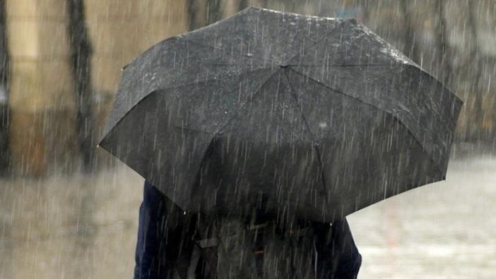 Erzurum, Erzincan ve Ardahan'da gök gürültülü sağanak bekleniyor