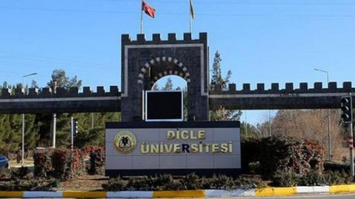 Dicle Üniversitesi'ne Öğretim Üyeleri alınacak
