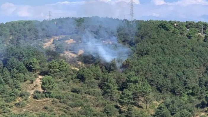 İstanbul'da orman yangını