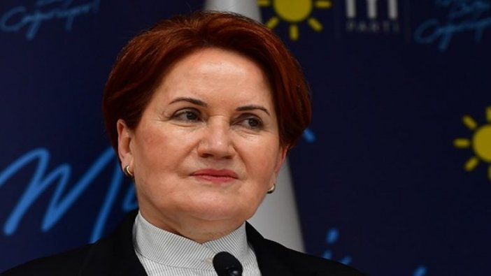 Meral Akşener'den Sakarya Zaferi mesajı