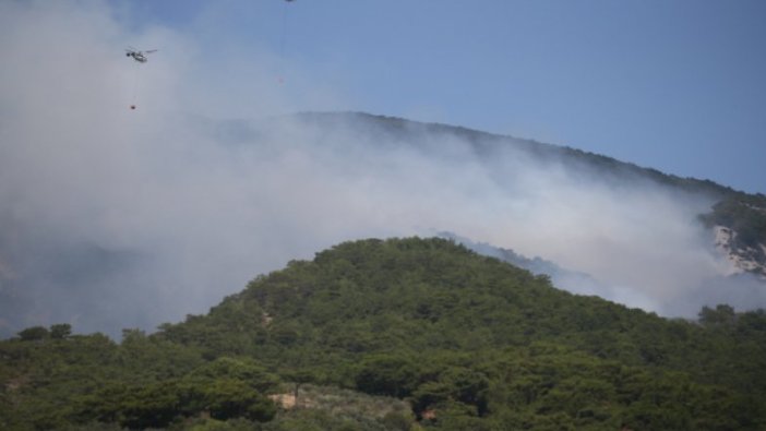 Kazdağları yanıyor