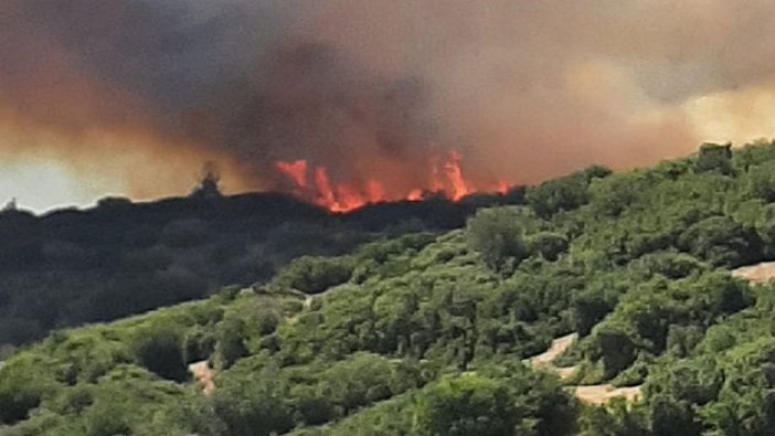 Aynı bölgede son bir ayda 10'uncu yangın