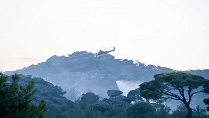 Aydın'daki orman yangını kontrol altında