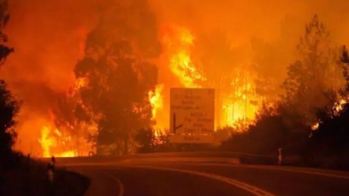 Portekiz'de orman yangını: 61 ölü