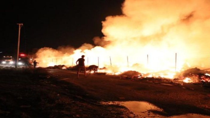 Yalova'da çöplük yangını