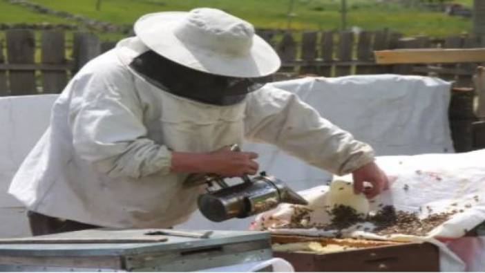 Dünyaca ünlü Anzer balının kilo satış fiyatı 1200 TL olarak belirlendi