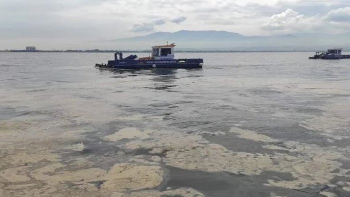 Prof. Dr. Sevim Polat’tan Akdeniz için “kahverengileşiyor” uyarısı geldi