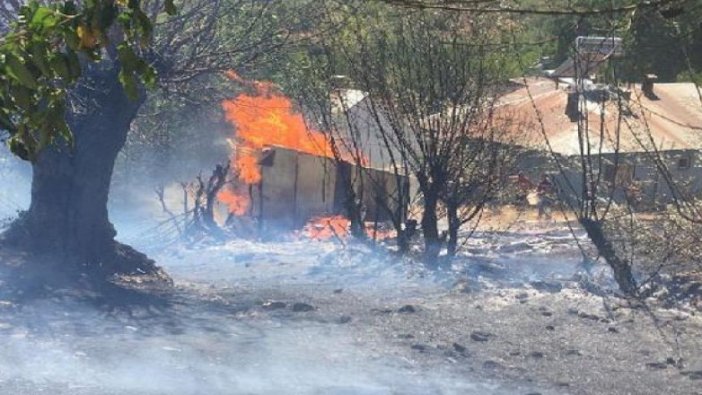 Bingöl’de orman yangını