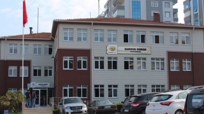 Ordu Orman İşletme ilan verdi