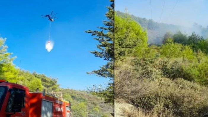 Hatay'da korkutan orman yangını