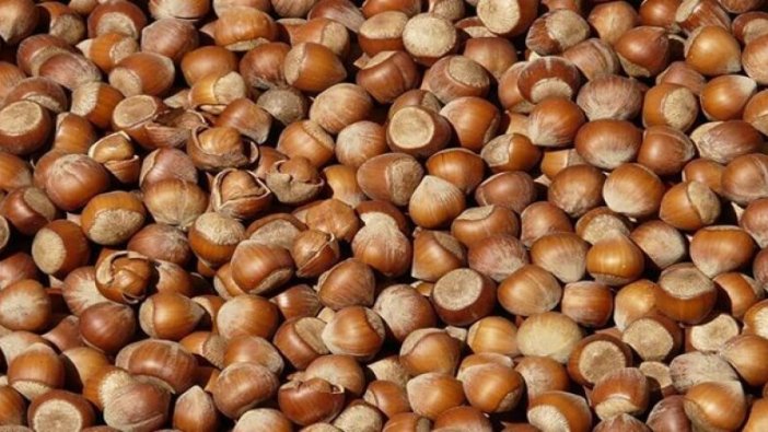 Fındık fiyatları ne kadar?