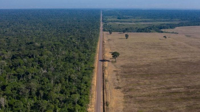 Facebook, Amazon Ormanları’nda arazi satışı ilanlarını yasakladı