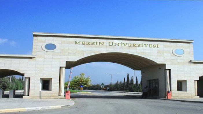 Üniversiteye Öğretim Üyeleri alım ilanı