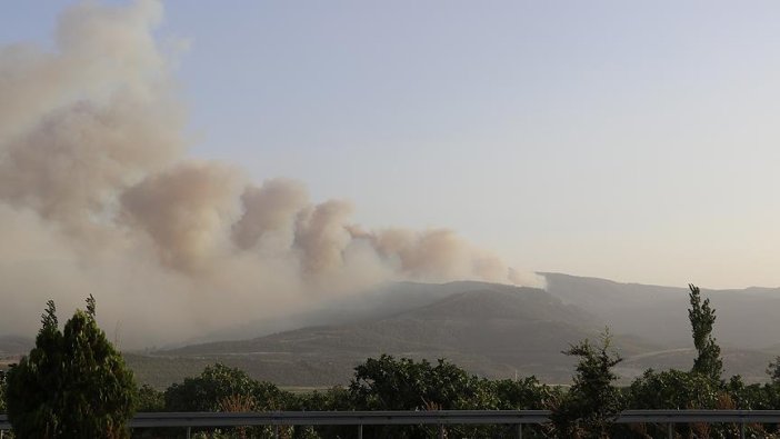 Denizli'de orman yangını nedeniyle 3 mahalle boşaltıldı