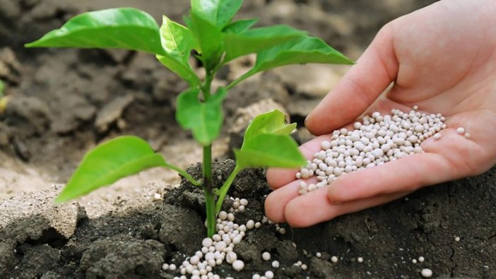 Çiftçileri sevindiren haber