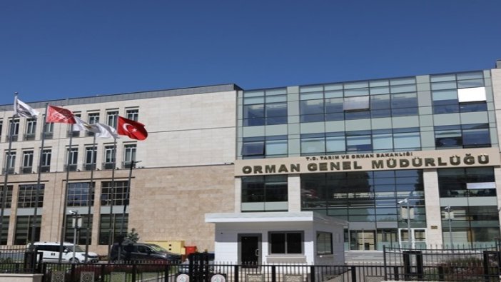 Orman Genel Müdürlüğü 74 Daimi İşçi alacak