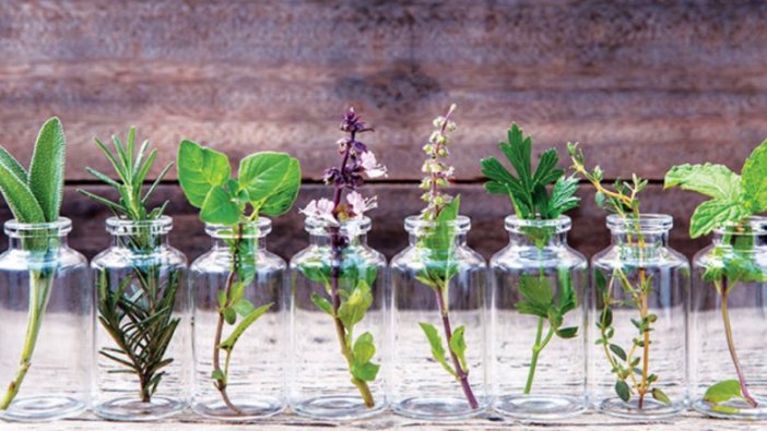 Edirne Ziraat Bankası personel alacak