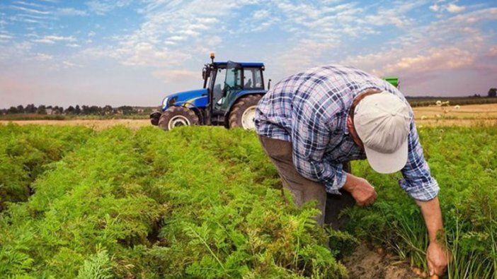 Tarım ve Orman Bakanı Bekir Pakdemirli açıkladı! Çiftçilerin hesaplarına yatacak