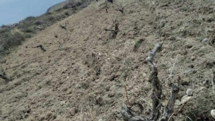 Nevşehir'de icradan satılık bağ