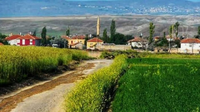 Nevşehir'de icradan satılık bina ve tarla