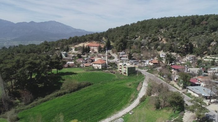 Muğla'da icradan satılık tarla