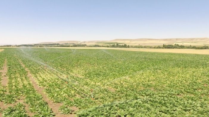 Erzurum'da icradan satılık tarım arazisi