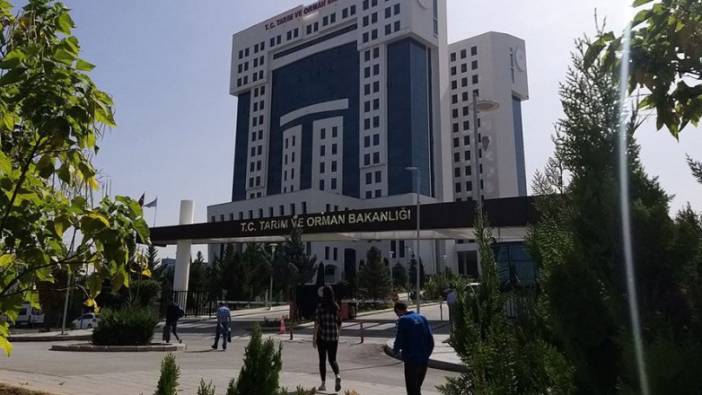 Tarım ve Orman Bakanlığı 5 bin personel alacak