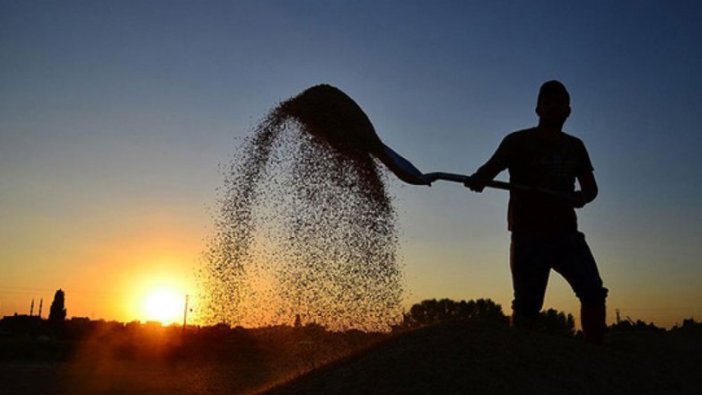 Gübre ve yem 2022 güncel fiyat listesi