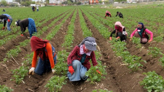 Mevsimlik işçiler nasıl sigortalı olur?