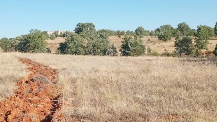 Uşak'ta icradan satılık tarla