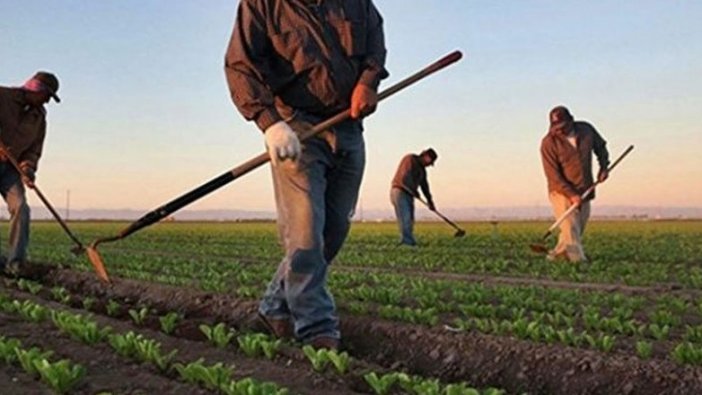 Tarım ve Orman Bakanlığı'ndan çiftçiye alım ve fiyat garantisi
