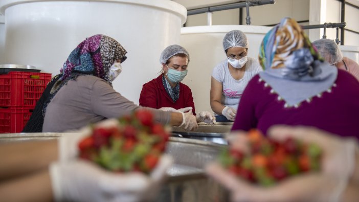 Bakan Yanık’tan kadın kooperatifleri açıklaması