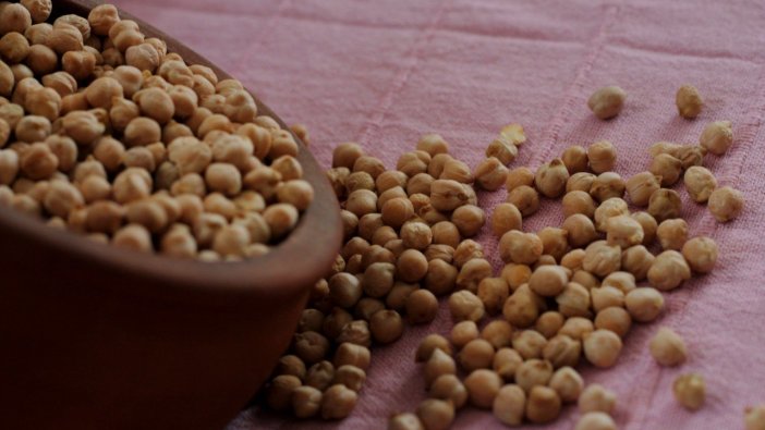 83 çiftçiye nohut tohumu desteği!