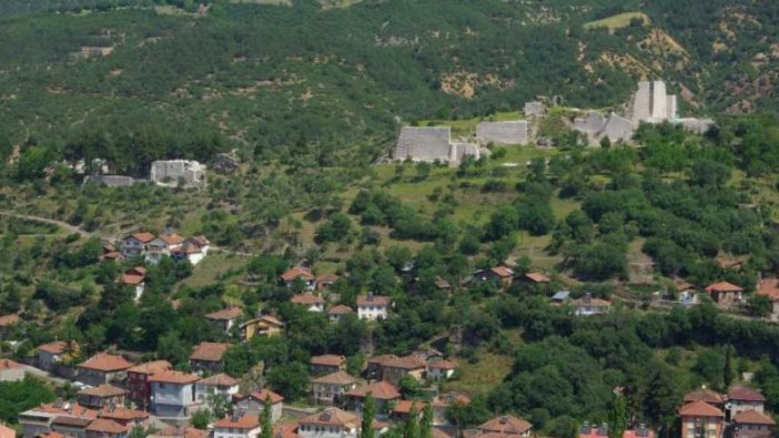 Tokat'ta icradan satılık tarla ve ev