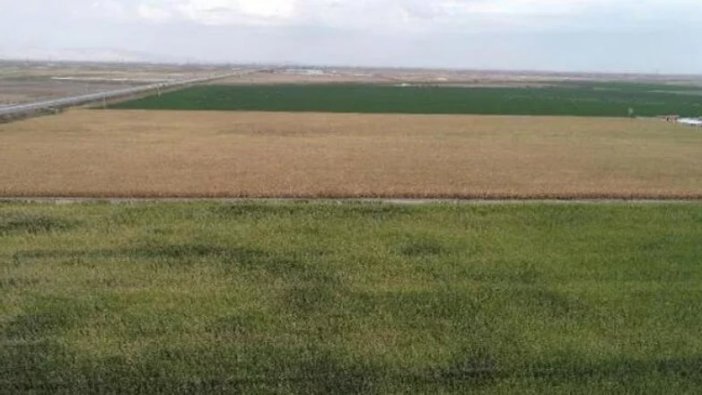 Ordu'da icradan satılık tarla