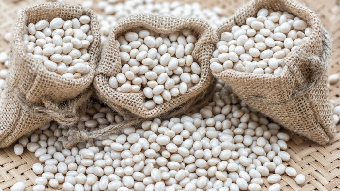 Yüzde 75 hibeli kuru fasulye tohumu dağıtıldı