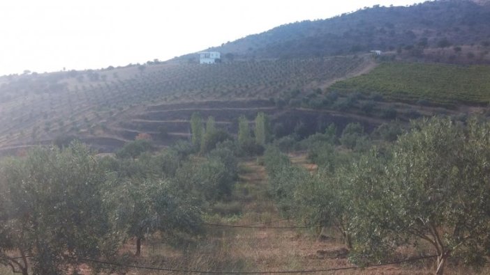 Manisa'da icradan satılık arsa